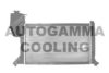 AUTOGAMMA 101324 Radiator, engine cooling